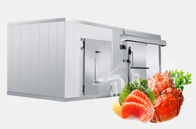 Freddo dei frutti di mare 42KG/M3 e stanza d'acciaio 1.5mm di conservazione frigorifera della frutta delle stanze 1.0mm del congelatore