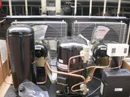 L'aria di CAJ4461YHR Tecumseh ha raffreddato il sistema di refrigerazione di condensazione ermetico dell'unità 1/2HP R134a