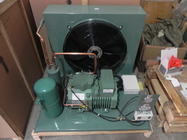 Attrezzatura di sistema di condensazione di refrigerazione dell'unità di 4CES-9Y 9HP R404 Coldroom