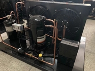 Unità di refrigerazione di condensazione della stanza fresca dell'unità di Emerson Copeland Hermetic Air Cooled