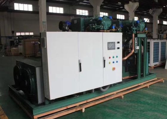 Germany  brand 4HE-18Y(18HP) R404a Air-Cooled Refrigertion Condensing Unit for Cold Room Refrigeration system