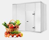 stanza commerciale del congelatore del pannello della stanza 100mm di conservazione frigorifera della frutta di 1160mm