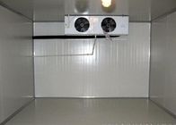 magazzino di raffreddamento d'acciaio frigorifero della cella 1.0mm di 2M Height Fridge Freezer