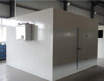 Passeggiata di congelamento del pesce dello SGS del CE nella cella frigorifera d'acciaio del congelatore ad aria compressa di Coldroom 0.4mm