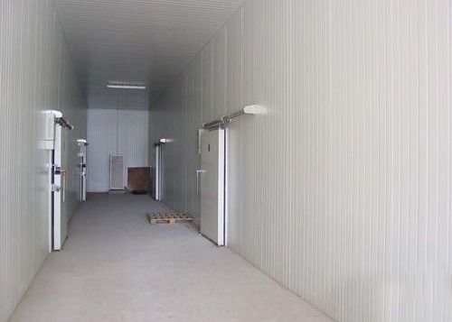 Passeggiata di congelamento del pesce dello SGS del CE nella cella frigorifera d'acciaio del congelatore ad aria compressa di Coldroom 0.4mm