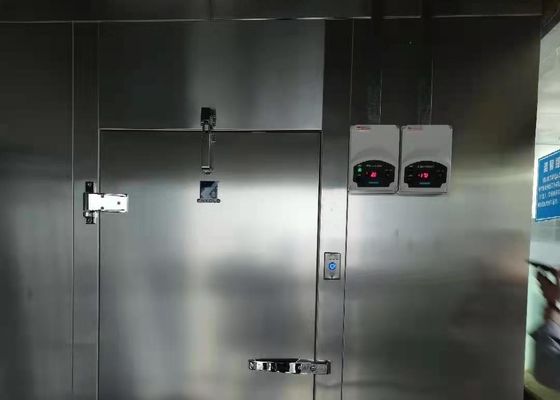 220V 380V ha personalizzato la cella frigorifera del surgelatore