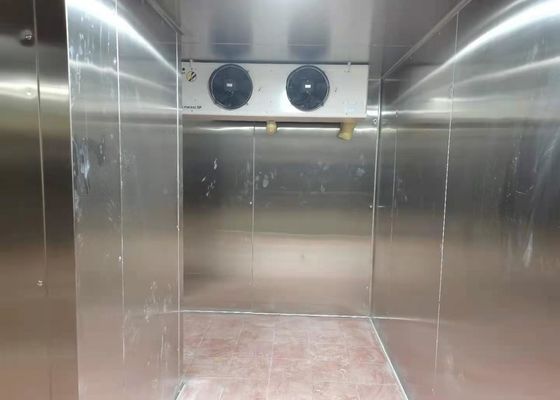 220V 380V ha personalizzato la cella frigorifera del surgelatore