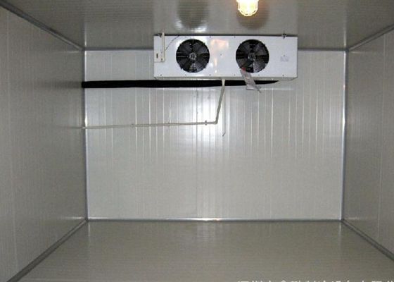 Freddo di 380V 220V e stanza ad angolo retto delle stanze 2,8 * 3,0 * 2.6M Walk In Freezer del congelatore