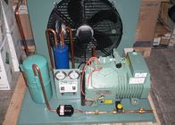 L'aria di R134a R407 ha raffreddato l'unità di condensazione della stanza del congelatore dell'unità di refrigerazione 3210W