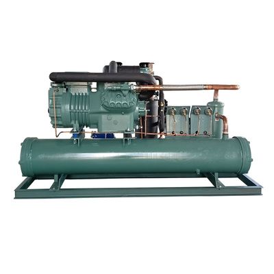 Unità di condensazione di refrigerazione di 4TES-12Y 12HP dell'unità del compressore raffreddato ad acqua di
