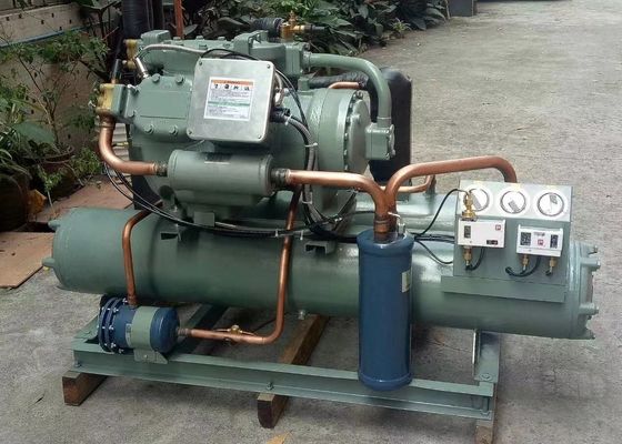 Unità di condensazione di refrigerazione di 4TES-12Y 12HP dell'unità del compressore raffreddato ad acqua di