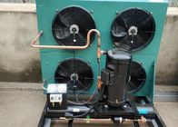 L'aria di 3HP 2FES-3Y ha raffreddato l'unità di condensazione della stanza del congelatore dell'unità di refrigerazione R407