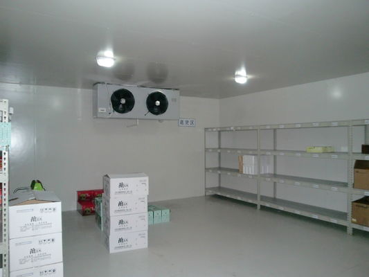 Passeggiata ad angolo retto SS304 nella stanza industriale del congelatore del pannello di Coldroom 200mm