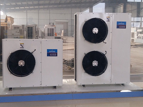 Unità di refrigerazione di R404A Emerson Copeland ZX ZXL Coldroom con l'abitazione della copertura