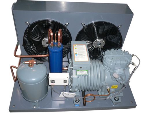 Unità di refrigerazione raffreddata aria di condensazione dell'unità di Emerson DWM Copeland 5 HP