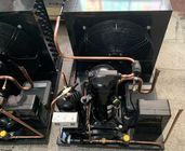 Unità di refrigerazione della stanza del congelatore di HFC R404a ZSI09KQE 3HP -23℃ a bassa temperatura
