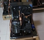 L'aria di 2HP 220V ha raffreddato l'unità di refrigerazione R404a 50Hz a basso rumore FH2480Z