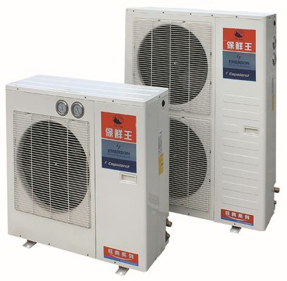 Unità di refrigerazione raffreddata aria di condensazione media di pugilato dell'unità 15HP di temperatura R407c